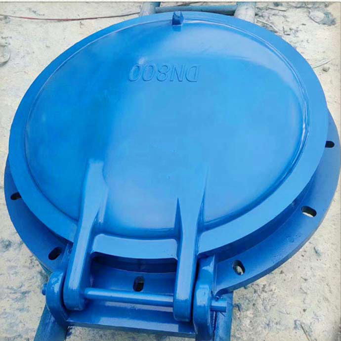 玻璃鋼拍門(mén)